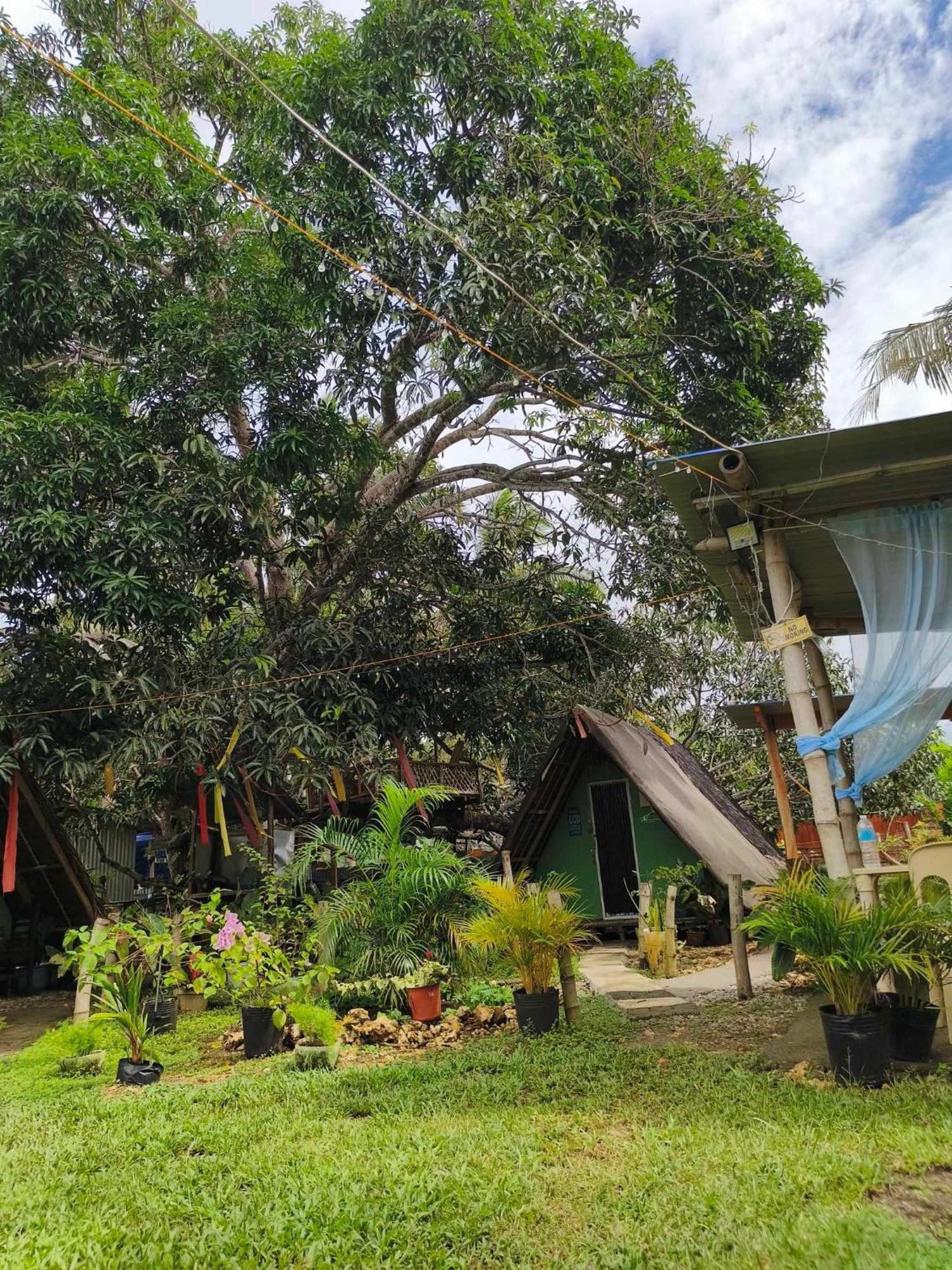 Lagkaw Uno In Lagkaw Homestay Panglao City Exterior foto